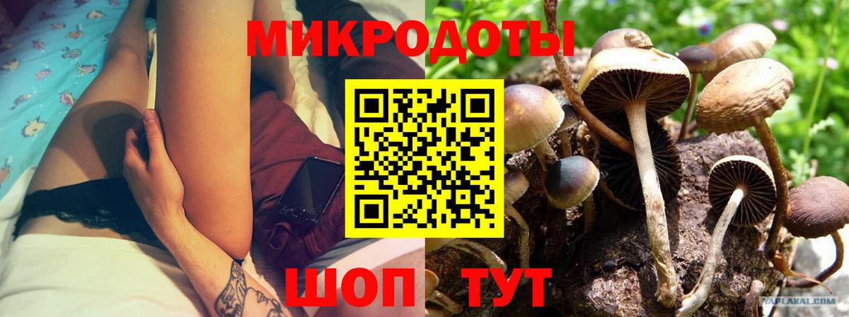 Галлюциногенные грибы мицелий  Вход с VPN  Омск  где можно купить наркотик  Псилоцибиновые грибы прущие грибы 